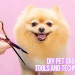 diy pet grooming