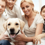 pets living with family