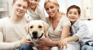 pets living with family